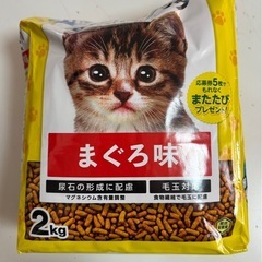 キャットスマック　キャットフード