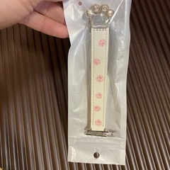 バンドの画像
