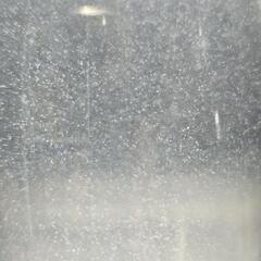 インフゾリア　ゾウリムシの画像