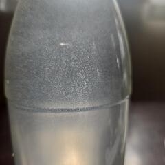 インフゾリア　ゾウリムシの画像