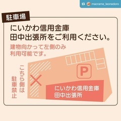 猫の譲渡会 - その他