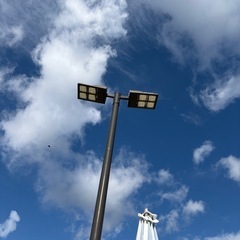 3月4日（火曜日）１２時〜硬式テニスしましょう！