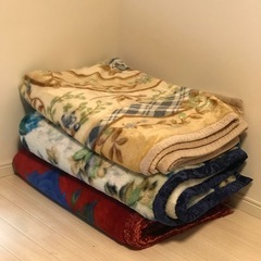 高級あったか毛布