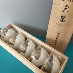 玉葉湯呑み5客揃い