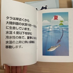 ピクチャーブックの画像