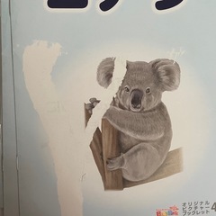 ピクチャーブックの画像