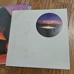中島みゆき　レコード　寒水魚の画像