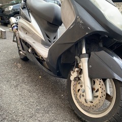シグナスの画像