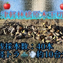 津軽林檎原木玉切
