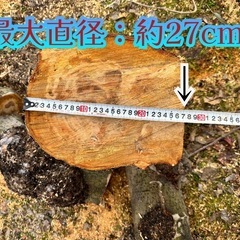 津軽林檎原木玉切
の画像