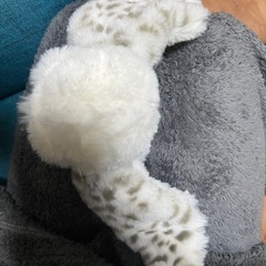 USJ ヘドウィグ　カチューシャの画像