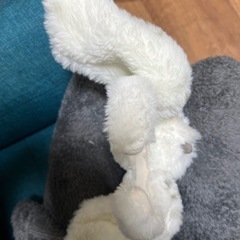 USJ ヘドウィグ　カチューシャの画像