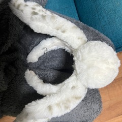 USJ ヘドウィグ　カチューシャの画像