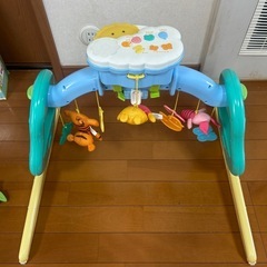 難あり　プーさんのジムメリー