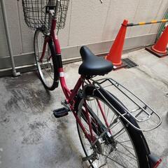 自転車　ピンク　2022年の画像