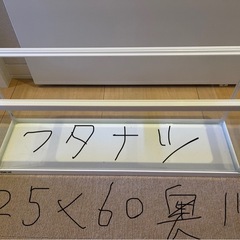 フナ無し水槽
