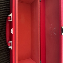 エンジェル　ケースのみの画像