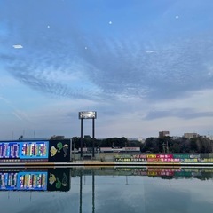 競艇仲間募集\(◡̈)/♥︎