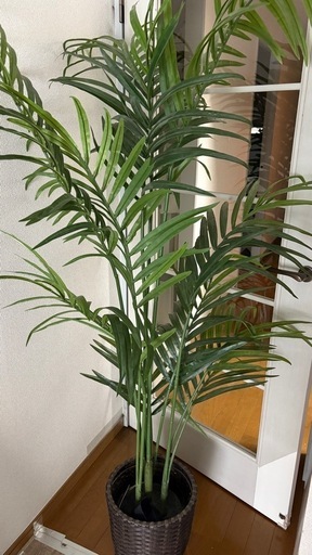 大きな観葉植物2つセット（フェイクグリーン）