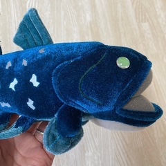 【新品・タグ付き】COLORATA ★ シーラカンス ぬいぐるみ　人気の画像