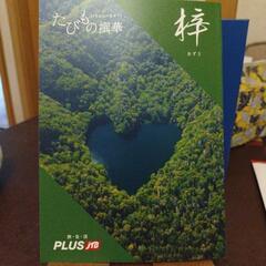 たびもの選華　梓期限２６年1月２９日迄