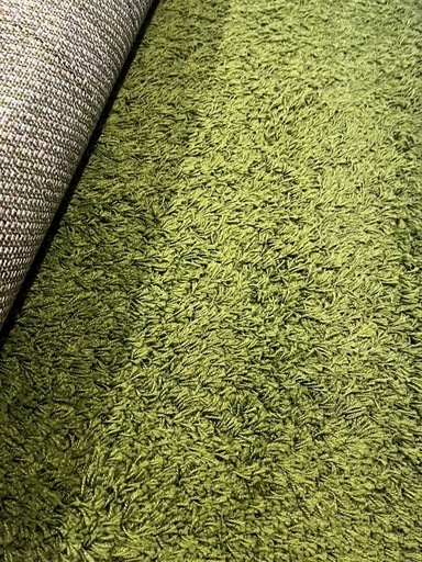 ラグ・グリーン・IKEA