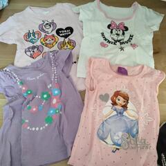 サイズ110 の画像