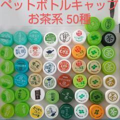 お茶系 ペットボトルキャップ 50種類 コレクター様いかが？