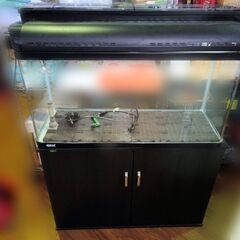 現状品【熱帯魚水槽】飼育 鑑賞魚 ペット アクアリウム■ ガラス...