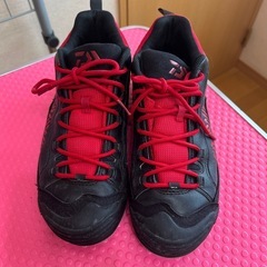 Daiwa 磯靴２６.5
の画像