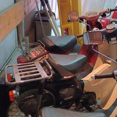 スーパーカブ50　４サイクル　FI　低走行　バイク　原付の画像