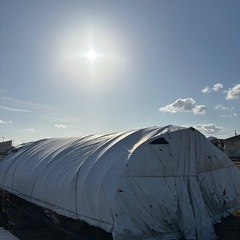 ビニールハウス