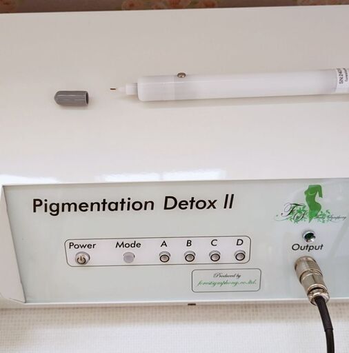美品◇2024年購入◇ピグメンテーションデトックス2