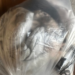 火曜水曜全て取りに来てくださる方ᙏ̤̫の画像