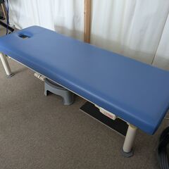 高田ベッド（電動昇降ベッド、温熱シート内蔵）、トータルジムXLS（ホームジム、TOTAL GYM XLS）のセット！！の画像