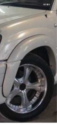 SSR ヴィエナ　ランクル100