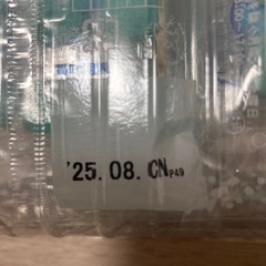 今月まで　シャンペンサイダー　20ケ入の画像