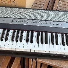 KORG SP-250