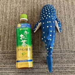ジンベエザメ　ぬいぐるみ　人気の画像