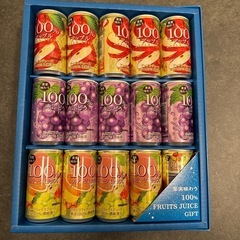 果汁100%フルーツジュースセット　