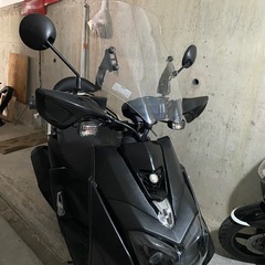 DAYTONAウィンドシールド