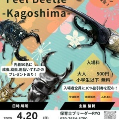 カブクワイベント 【Feel Beetle -kagoshima-】