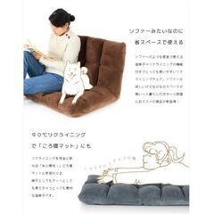 リクライニング 2人がけ座椅子の画像