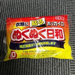 興和 ホッカイロ ぬくぬく日和 貼るレギュラー 10個入り