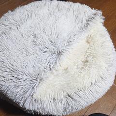 【🐈️にゃんこ 大きなぬくぬくクッション🐈️  人間用クッション...