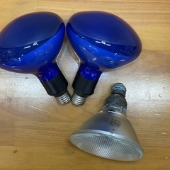電球