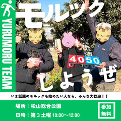【松山ゆるモル部】初心者OK！！いま話題のモルックを人気サークル...