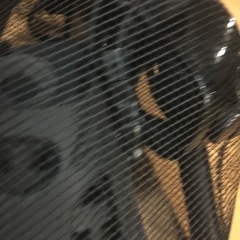 シュノーケル　セット2点の画像