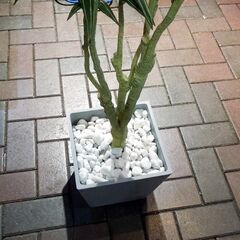 フェイクグリーン ドラセナ？ 高さ約140cm インテリア 観葉植物 オフィス 店舗 ディスプレイ 札幌市 新道東店の画像