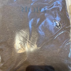 DIOR パーカー プルオーバー ベージュ ロゴワッペン カシミ...